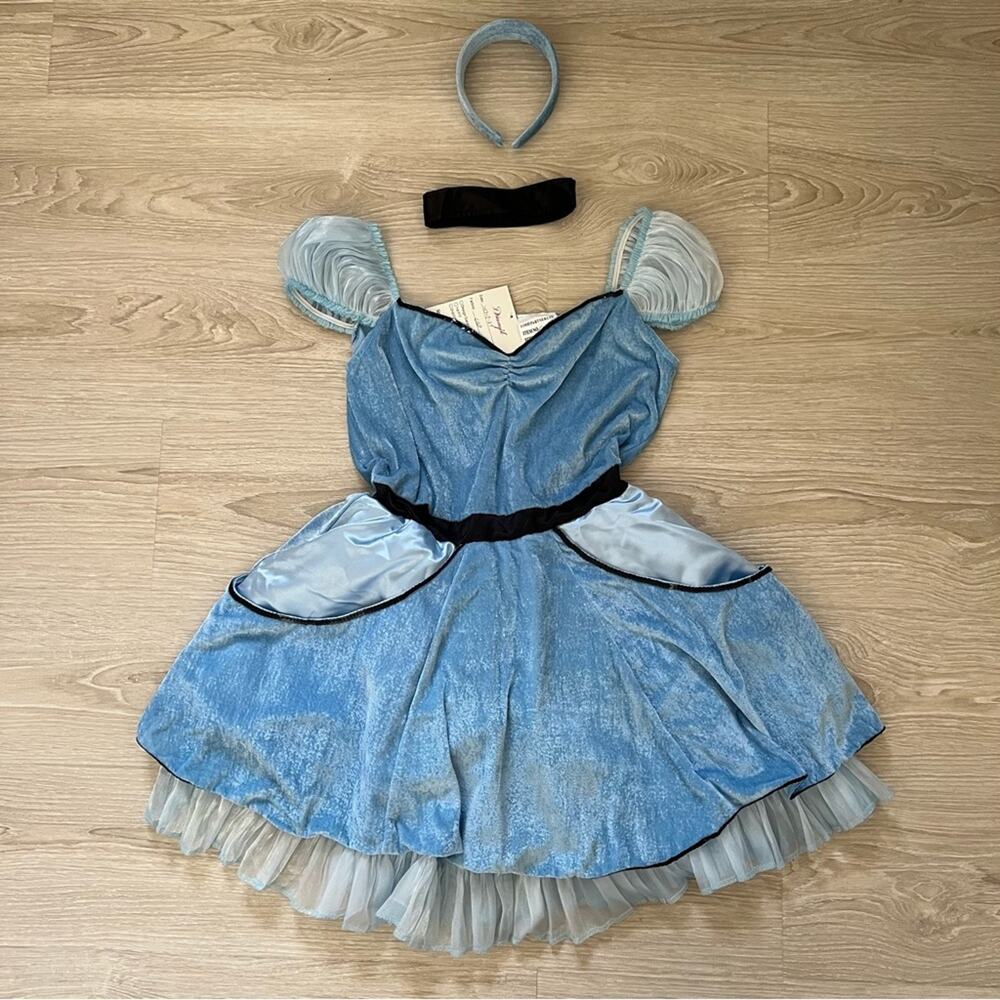 Dreamgirls Cinderella Disney costume